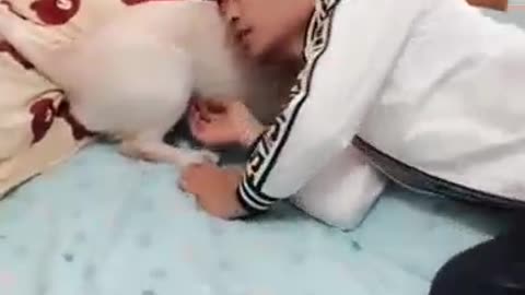 Playing puppy