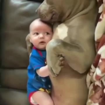 PRICELESS MOMENTS FOR 3-8-23