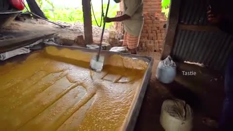 Organic Jaggery making in village