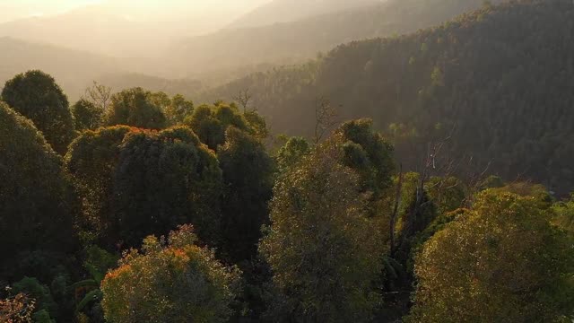 The most beautiful nature videos around the world