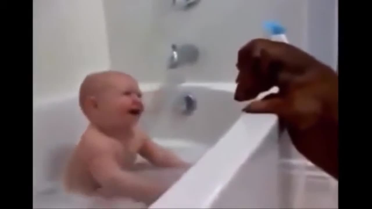 Cute And Funny Pet Videos Compilation 4