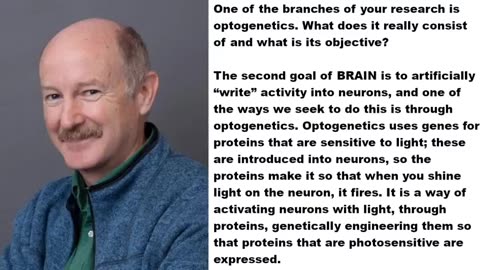 LQC_ TARGETING THE BRAIN