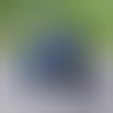 Customized harley davidson 2023