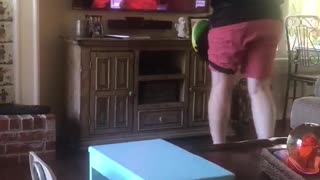 Disc Golfing Dad Takes Out TV