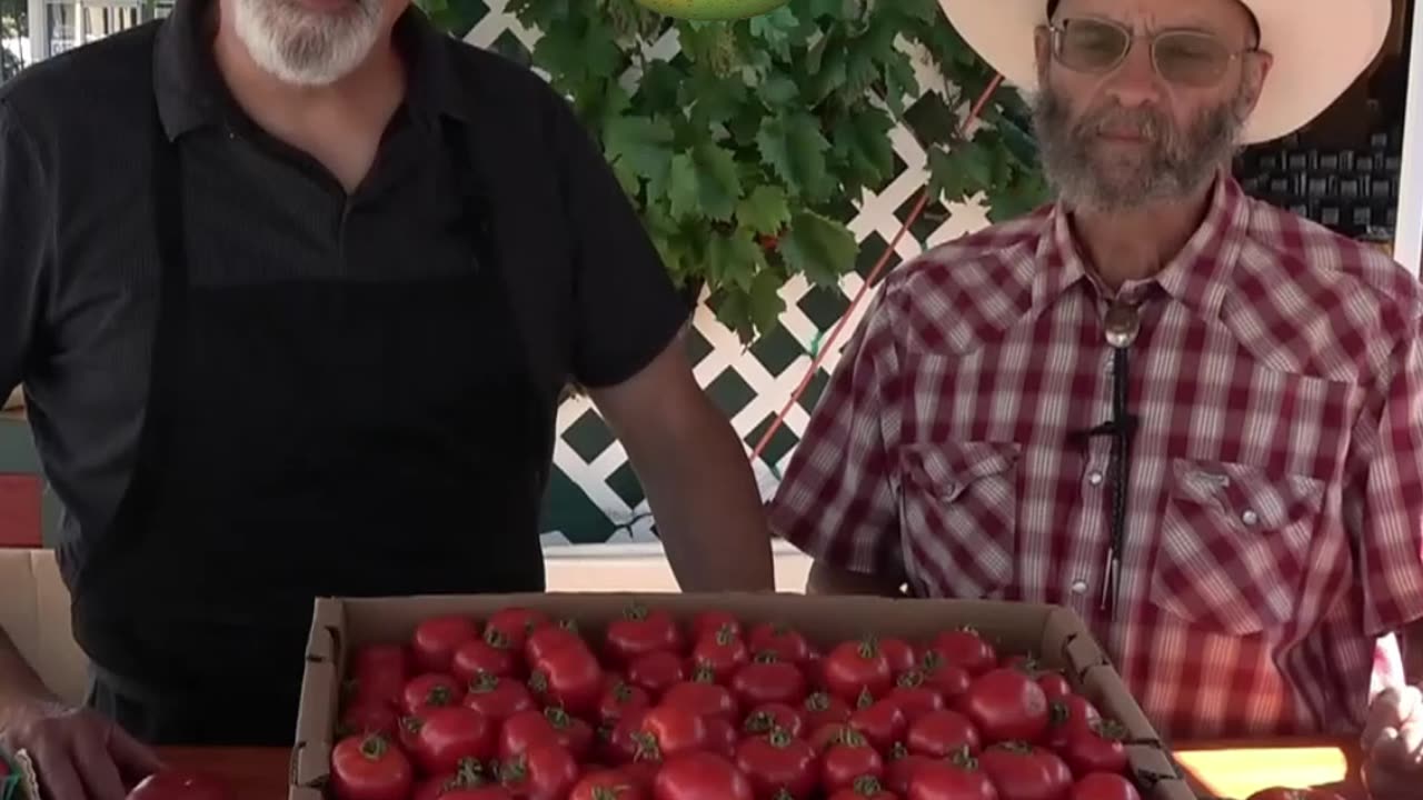 Summer Tomatoes Part 2