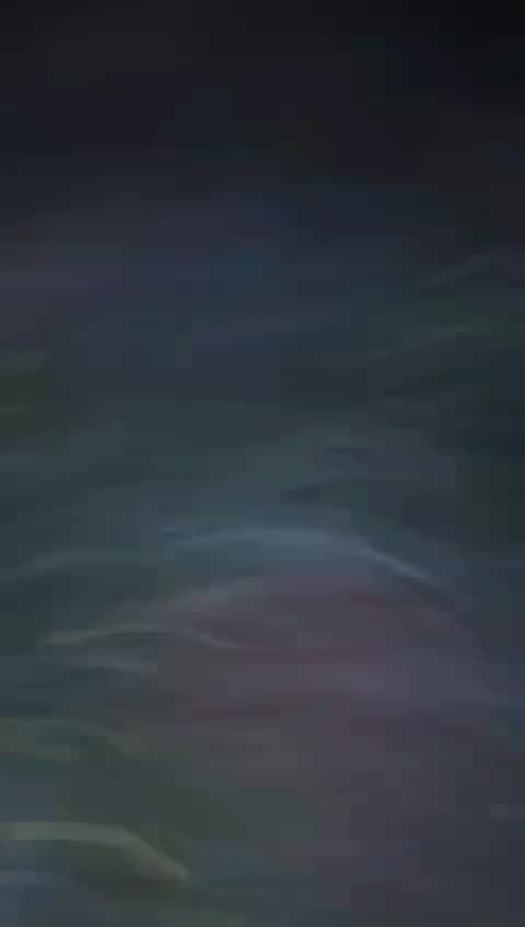 🇮🇹 IERI SERA A TARANTO 😱