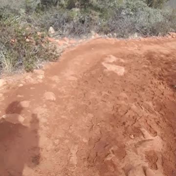 Genesis 11 and the confounding of the languages on the trail to Devil's Bridge