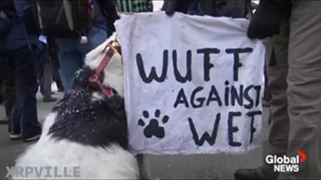 [WEF/BlackRock] Protest | Davos 🇨🇭