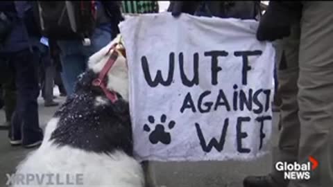 [WEF/BlackRock] Protest | Davos 🇨🇭