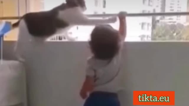 Baby sitter cat 🐱 keeps the baby 👶 perfectly safe