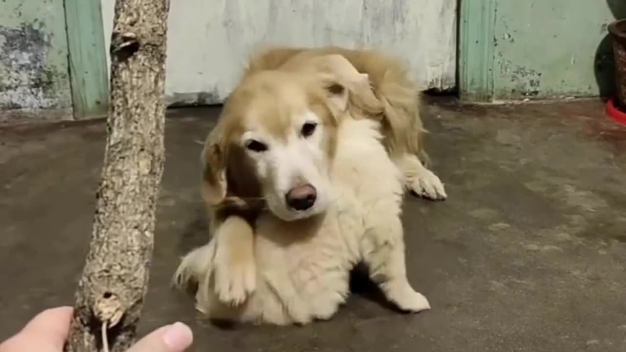 Mother Love 🥺❤️😍