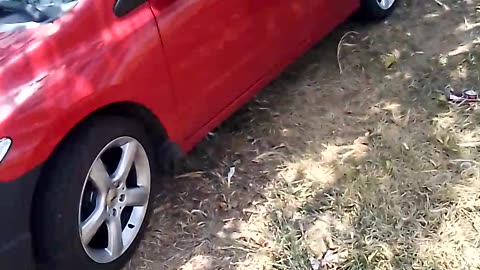 8th Gen civic 2006 Honda Civic coupe ex