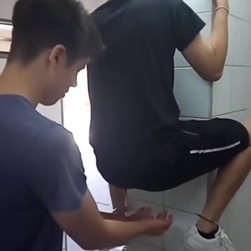 100% Organic Hand Dryer