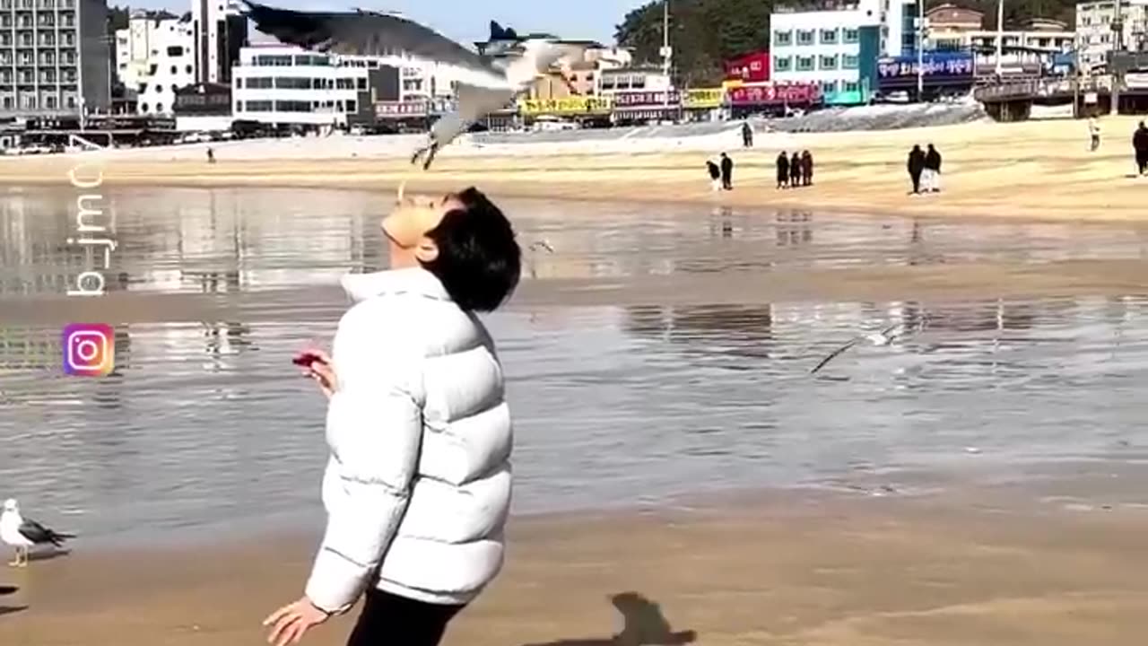 Viral shorts
