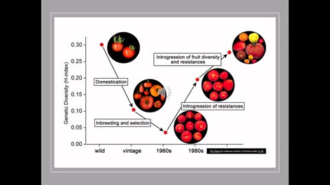 Odds and Ends S3 5 Vine Pests and Control Methods