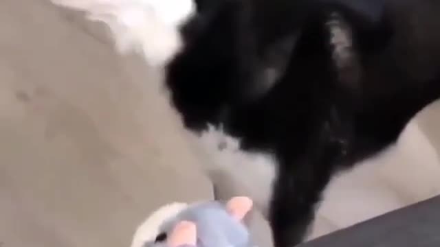 Stop mooom..
