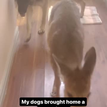 Hope they become great friends 😊😊😊😍😍😍