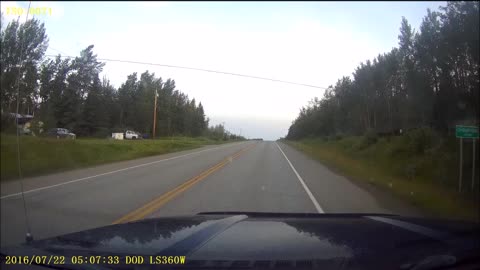 Ford F150 Vs. Deer