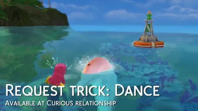 ALL Dolphin Interactions - The Sims 4 Island Living_Cut
