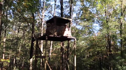 Filling Deer Feeder With CORN SOAKED IN PEANUT OIL WITH PEANUTS