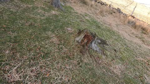 All cleared up and ready to hike back to the car. car. DARTMOOR.