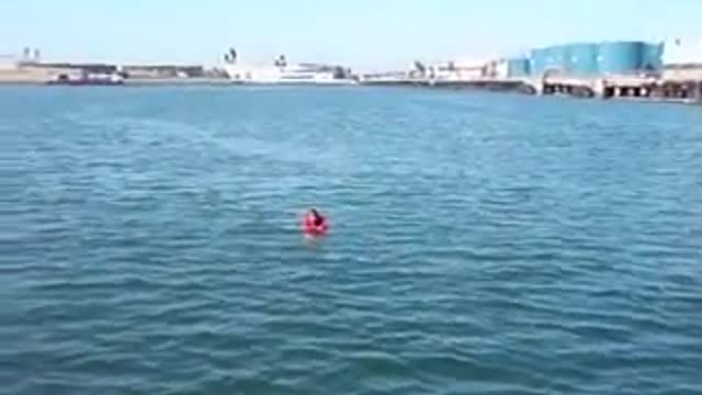 Phu Pham - Port of Los Angeles Rescue Number 2