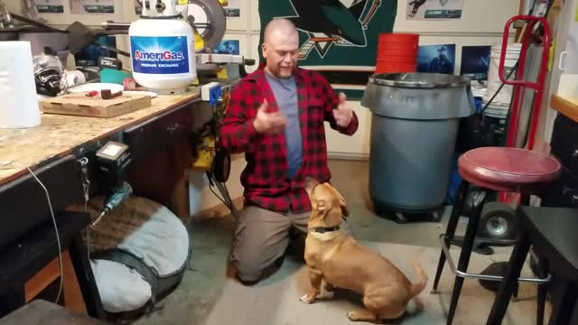 Jack jumping into my arms