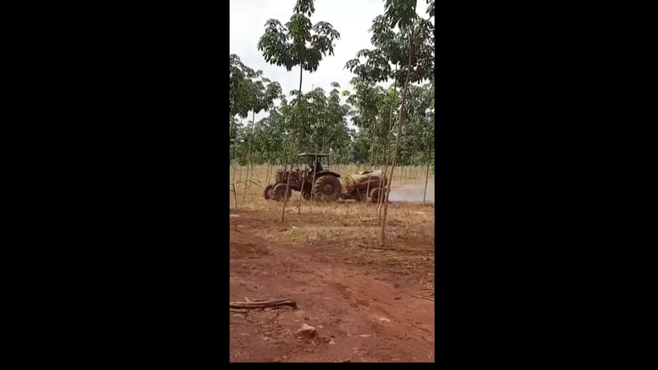 Another Praying time - Weed Controls - Farm Life
