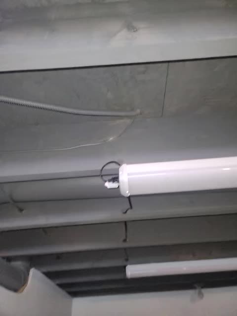 What idiot ran it like this??