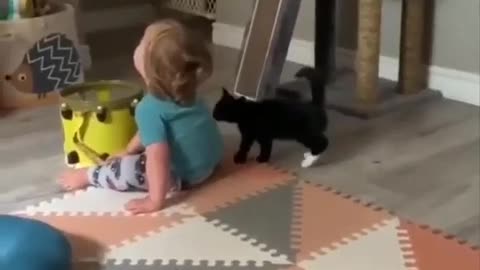 A little boy and cat playing together its wonderful scene