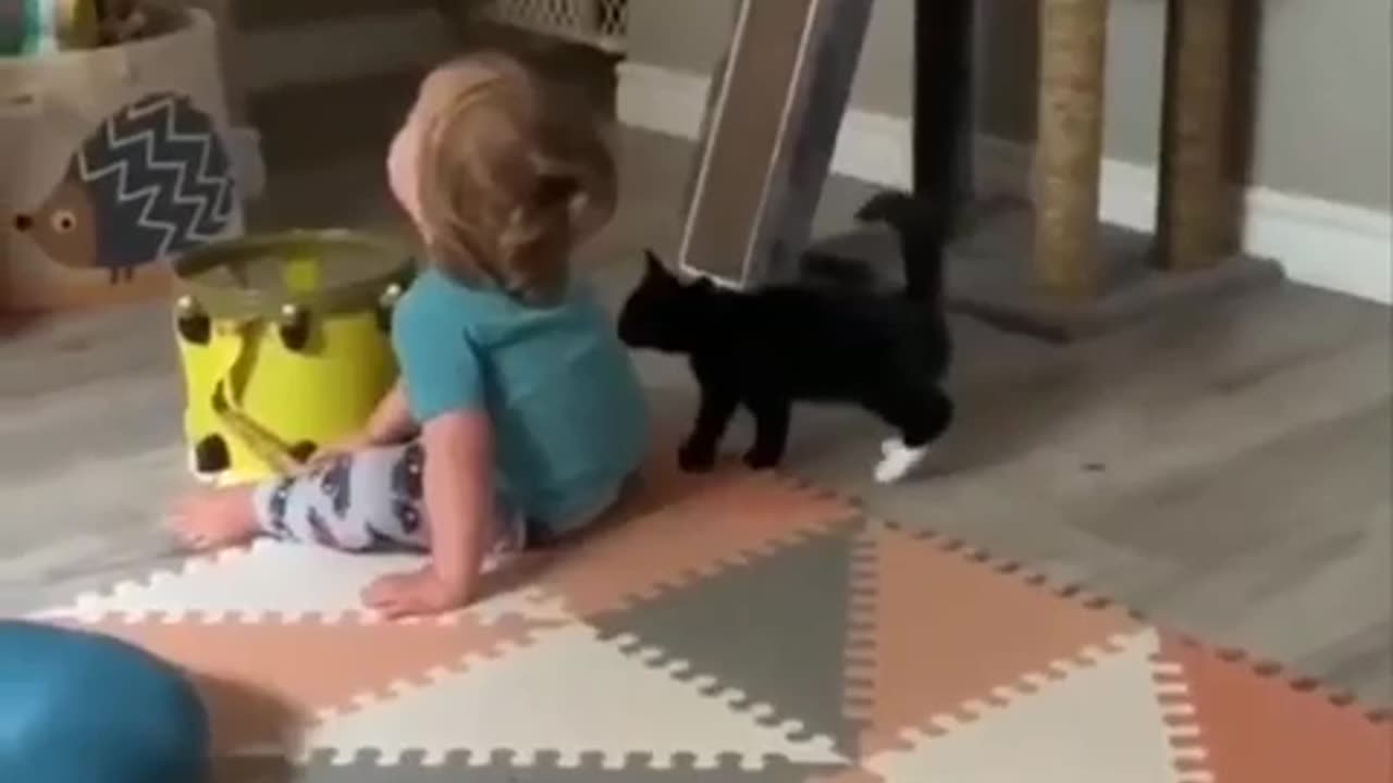 A little boy and cat playing together its wonderful scene