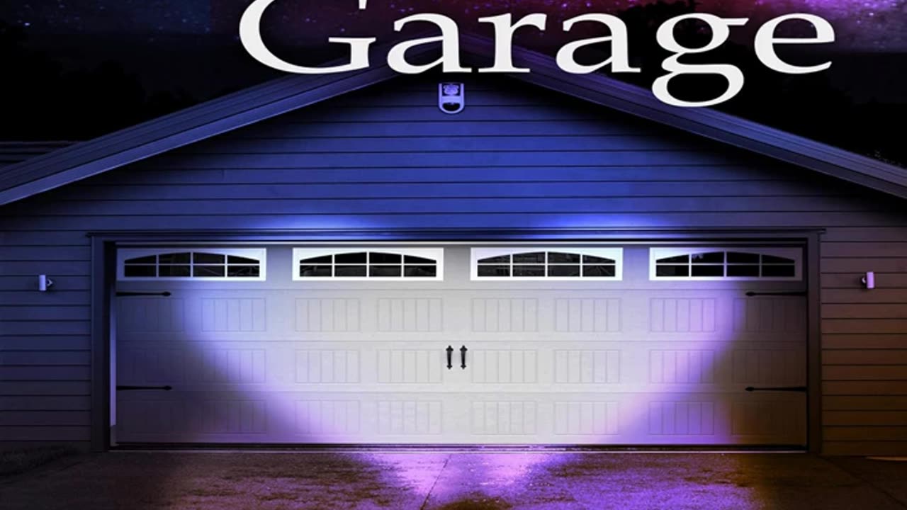 Book Review: Romance In a Garage: Based on a True Story by Leroy Vincent