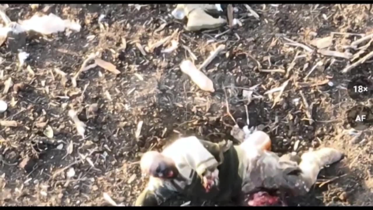 RAF Drones Strike Ukrainian Positions