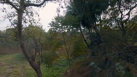 Man Walks Through Archeological Park at Mehrauli in Delhi