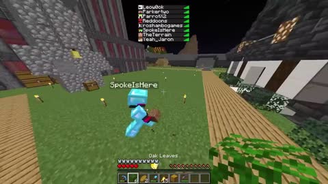 I Stole Minecraft's Rarest Diamond_p24