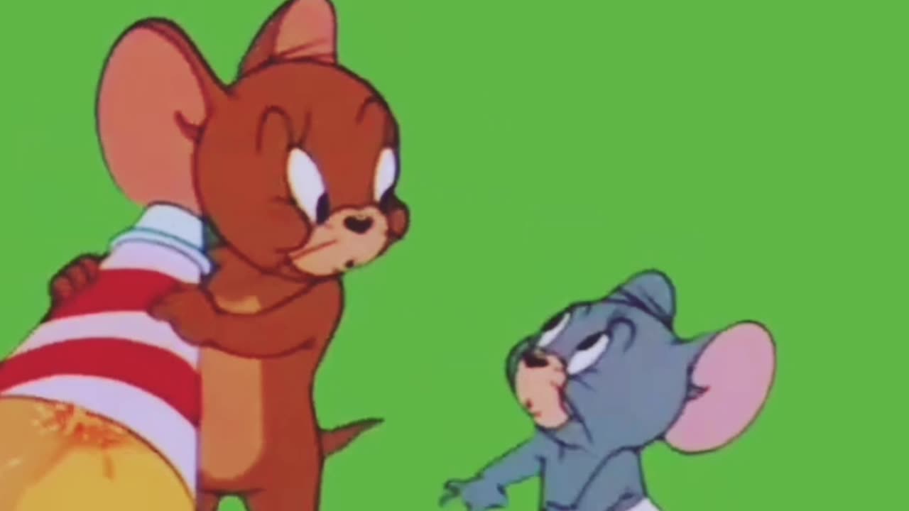 Tom and Jerry Greenscreen full episode [ tom jerry green screen free copyright vedio ] #tomjerry