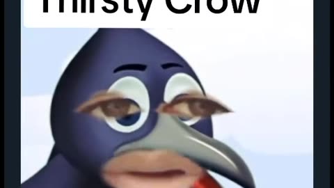 Thirsty Crow Funny Video