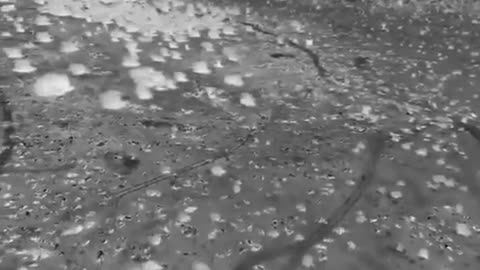 57,000 dead cows in Rajasthan India