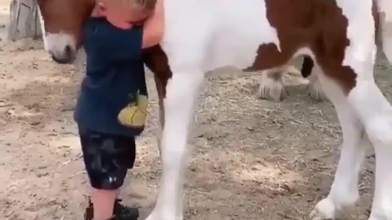 Friends for life