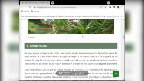 Platas, Medicinas para el Cerebro