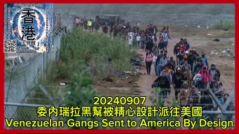 委內瑞拉黑幫被精心設計派往美國 Venezuelan Gangs Sent to America By Design