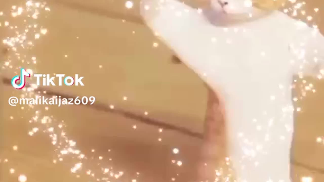 October 27, 2023