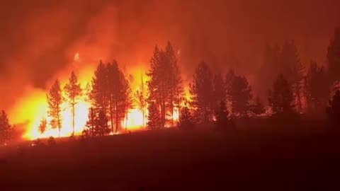 🔥🇺🇲 Wildfire on Oregon Road near Elk, Washington.