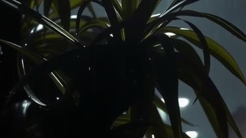 Horror movie