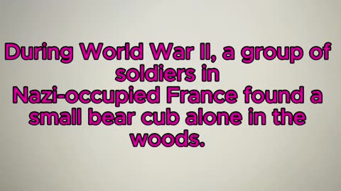 “The Bear Who Fought in WWII”