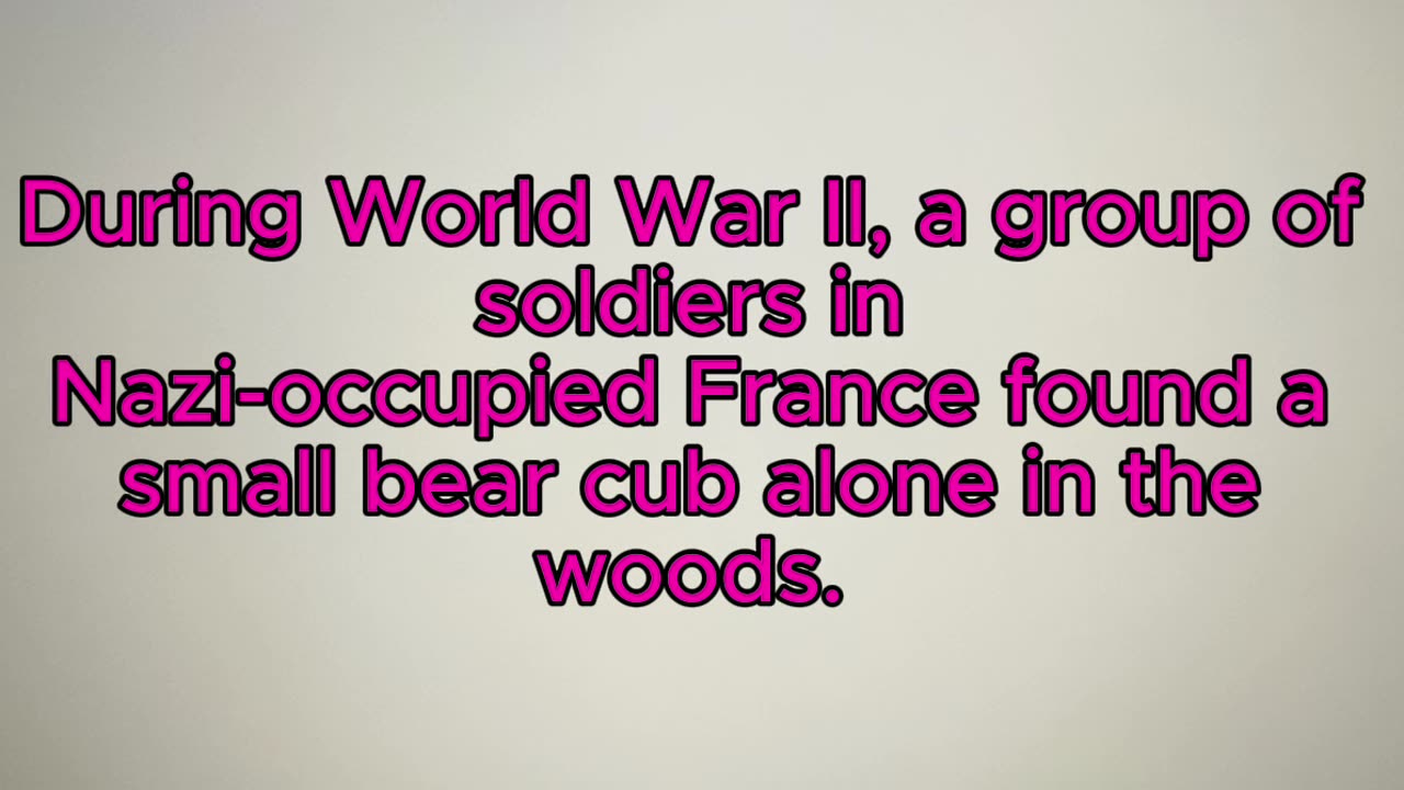 “The Bear Who Fought in WWII”