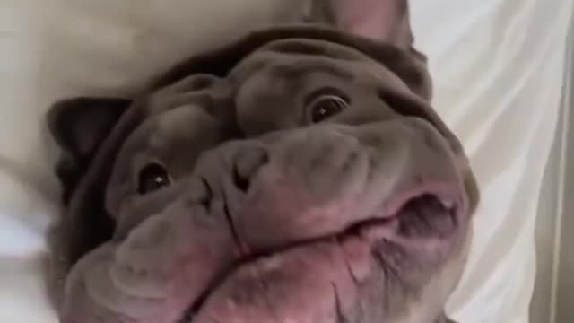 Imagine walking up into the face