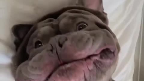 Imagine walking up into the face