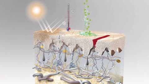 Shedding, vaccines and graphene machines