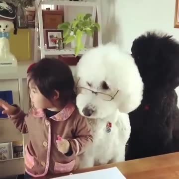 Did you happen to do the homework?